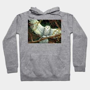 Winter Owl Hoodie